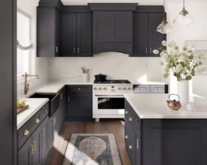 Kitchen Cabinets